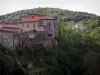 Parque Natural Regional de Pilat - Pilat: iglesia y las casas en el pueblo de ROCHETAILLEE, los árboles