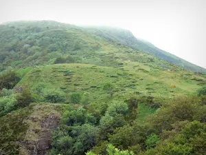 Parque Natural Regional de los Volcanes de Auvernia - Montes del Cantal: ladera de la montaña