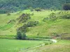 Parque Natural Regional de los Volcanes de Auvernia - El camino alineó con los prados