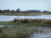 Parque ornitológico de Marquenterre - Reserva Natural de las marismas de Somme, las cañas y los cisnes