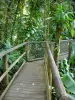 Parque zoológico y botánico de las Mamelles - Curso en el Jardín Botánico Tropical