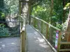 Parque zoológico y botánico de las Mamelles - Puente Colgante sobre pasarelas suspendidas
