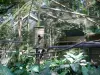 Parque zoológico y botánico de las Mamelles - pajarera