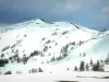 Pass von Allos - Vom Pass aus, Blick auf die schneebedeckten Berge (Schnee) bestreut mit Bäumen