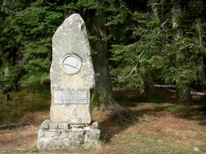 Pass Minier - Gedenkstein zum Andenken an den General Huntziger und Bäume des Waldes; im  Aigoual Massiv, im Cevennen-Nationalpark (Cevennen Massiv)