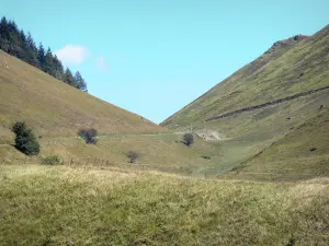 Pass Peyresourde - Strasse führend zum Pass, gesäumt von Weideland