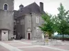 Pau - Façade de l'ancien parlement de Navarre et fontaine place de la Déportation