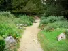 Pau - Parc Beaumont avec ses plantes et ses essences d'arbres