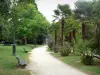Pau - Allée du parc Beaumont bordée de bancs et d'arbres