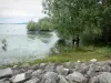 Pays du Der - See Der (künstlicher See) und seine Wasserbäume