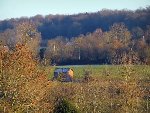 Pays d'Auge - Arbres, prairie avec une cabane et forêt