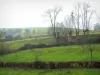 Pays de Bray - Prairies verdoyantes et arbres