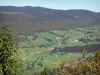 Paysages de l'Ain - Parc Naturel Régional du Haut-Jura (massif du Jura) : vue depuis le col de la Faucille