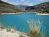 Paysages des Alpes-de-Haute-Provence - Lac de Chaudanne (retenue d'eau) couleur émeraude, épis en premier plan, rives et montagnes ; dans le Parc Naturel Régional du Verdon