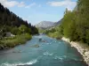 Paysages des Alpes-de-Haute-Provence - Rivière Verdon bordée d'arbres ; dans le Parc Naturel Régional du Verdon