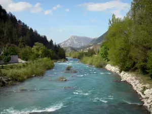 Paysages des Alpes-de-Haute-Provence - Rivière Verdon bordée d'arbres ; dans le Parc Naturel Régional du Verdon