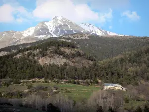 Paysages des Alpes-de-Haute-Provence - Vallée de l'Ubaye : ferme, prairies, arbres et montagnes 