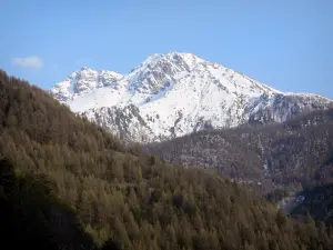 Paysages des Alpes-de-Haute-Provence - Montagnes couvertes d'arbres et cime enneigée