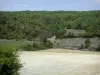 Paysages des Alpes-de-Haute-Provence - Champ entouré d'arbustes