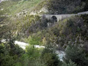 Paysages des Alpes-de-Haute-Provence - Rivière bordée d'arbres