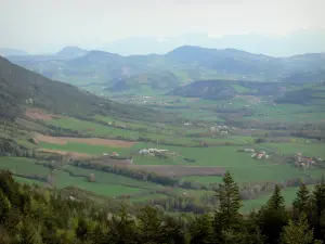 Paysages des Alpes-de-Haute-Provence - Villages, prairies, forêts, collines et montagnes