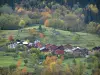 Paysages alpins de Savoie - Chalets d'un village montagnard, alpages et arbres aux couleurs de l'automne