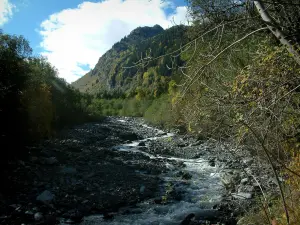 Paysages alpins de Savoie - Arbres, forêt et cours d'eau avec des rochers