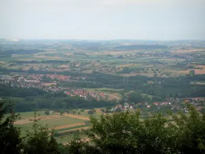 Paysages d'Alsace - Du château du Haut-Barr, vue sur la plaine d'Alsace