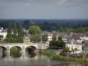 Paysages de l'Anjou - Val de Loire : pont sur le fleuve Loire, maisons et bâtiments de l'île d'Offard, à Saumur, arbres et forêt ; dans le Parc Naturel Régional Loire-Anjou-Touraine