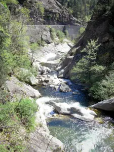 Paysages de l'Ardèche - Vallée de la Volane - Parc Naturel Régional des Monts d'Ardèche : arbres au bord de la rivière Volane
