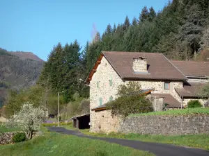 Paysages de l'Ardèche - Parc Naturel Régional des Monts d'Ardèche : maison en pierre au bord d'une petite route