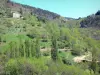 Paysages de l'Ardèche - Parc Naturel Régional des Monts d'Ardèche - Pays des châtaigniers : maison en pierre dominant des terrasses de pierres sèches