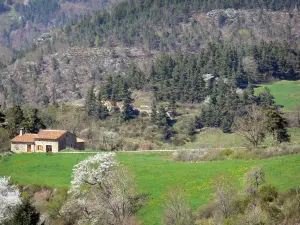 Paysages de l'Ardèche - Maison en pierre dans un environnement verdoyant