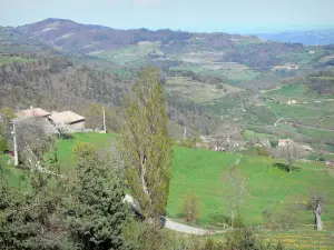 Paysages de l'Ardèche - Maison avec vue sur des collines verdoyantes