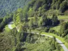 Paysages de l'Ariège - Route de montagne bordée d'arbres ; dans le Parc Naturel Régional des Pyrénées Ariégeoises