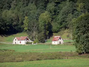 Paysages de l'Ariège - Vallée du Garbet : maison, grange, prés et arbres ; dans le Parc Naturel Régional des Pyrénées Ariégeoises, en Couserans