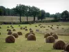 Paysages du Berry - Champ avec des bottes de paille, arbres et forêt