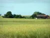 Paysages du Berry - Champ, arbres et maison