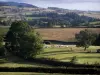 Paysages de la Bourgogne du Sud - Pâturages, champs et arbres