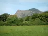 Paysages de Corse intérieure - Prairie parsemée de fleurs sauvages, arbres et montagne