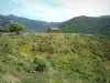Paysages de Corse intérieure - Maison (bergerie) en pierre perchée sur une colline tapissée de végétation et de fleurs sauvages, montagnes recouvertes de forêts en arrière-plan
