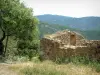 Paysages de Corse intérieure - Arbre, herbes et fleurs sauvages avec les ruines d'une maison (bergerie) en pierre, montagnes tapissées de forêts en arrière-plan