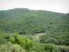 Paysages de Corse intérieure - Montagne recouverte de maquis et d'arbres