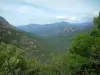 Paysages de Corse intérieure - Arbres, montagnes et nuages dans le ciel