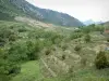 Paysages de Corse intérieure - Restanques, herbage, arbres et montagnes