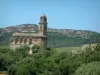 Paysages de Corse intérieure - Église Saint-Martin de Patrimonio, arbres, champs de vignes et colline