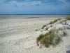 Paysages de la Côte d'Opale - Dune avec des plantes (oyats) et des rochers, plage de sable avec bouées jaunes, mer (la Manche), à Hardelot-Plage (Parc Naturel Régional des Caps et Marais d'Opale)