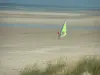 Paysages de la Côte d'Opale - Plantes (oyats), plage de sable avec une personne pratiquant le speed-sail (planche à voile sur roulettes), mouettes et mer (la Manche), à Hardelot-Plage (Parc Naturel Régional des Caps et Marais d'Opale)