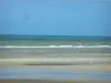 Paysages de la Côte d'Opale - Plage de sable, mouettes et mer (la Manche), à Hardelot-Plage (Parc Naturel Régional des Caps et Marais d'Opale)