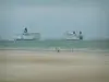 Paysages de la Côte d'Opale - Plage de sable, mer du Nord avec deux paquebots (ferries)